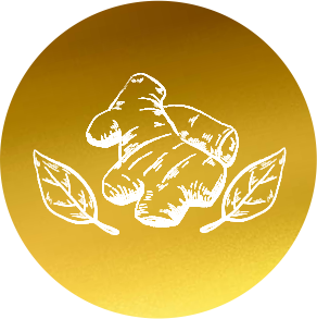ICON-JAHE.png ICON-JAHE.png