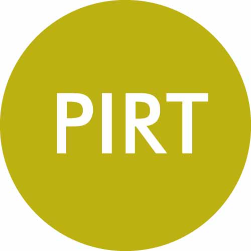 Icon-3-PIRT.jpg Icon-3-PIRT.jpg