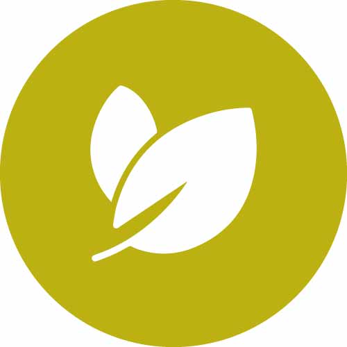 Icon-1-Alami.jpg Icon-1-Alami.jpg